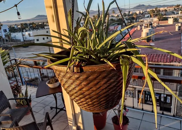 Hotel Bajalife Boutique Cabo San Lucas
